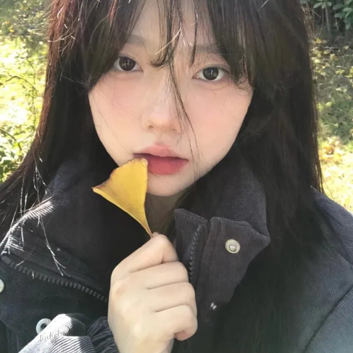 沙尘少爷